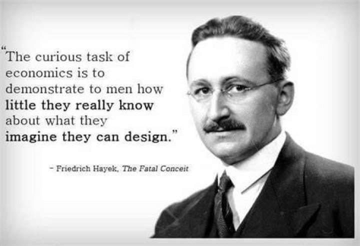 What is the knowledge problem Hayek?