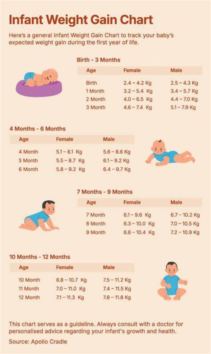 What is the max weight for a baby swing?