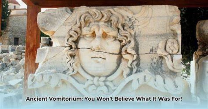 What is the meaning of a vomitorium?