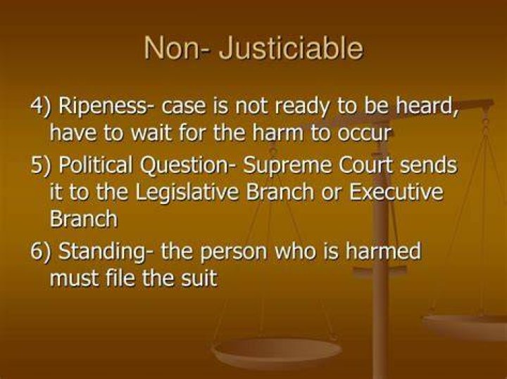 What is the meaning of justiciable and non justiciable?