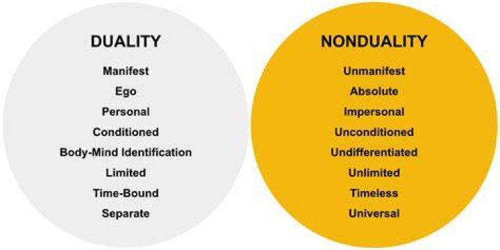 What is the meaning of non-duality?