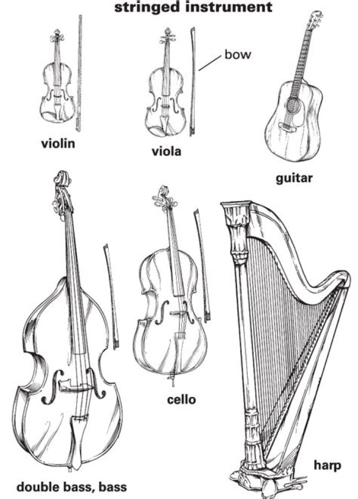What is the meaning of string instrument?