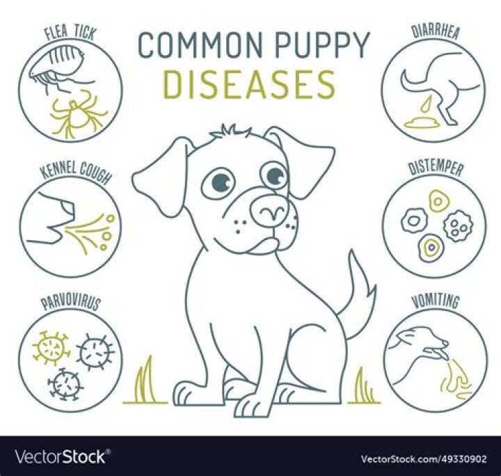 What is the most common illness in dogs?