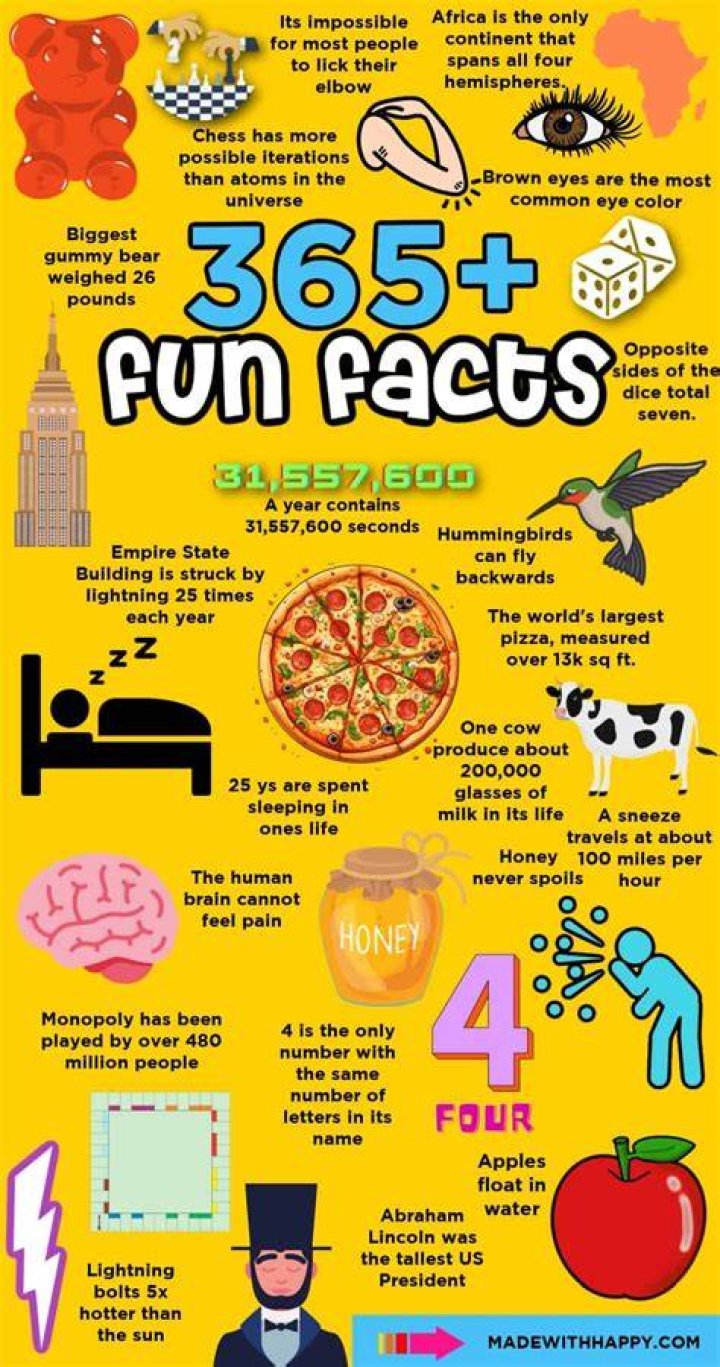 What is the most interesting fact about computers?