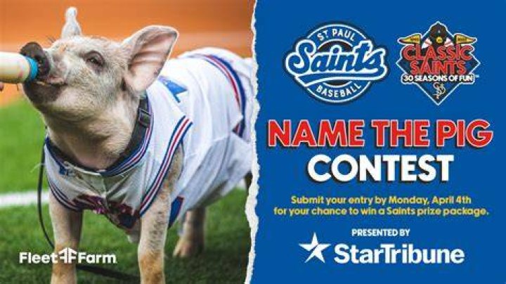What is the name of the St Paul Saints pig?