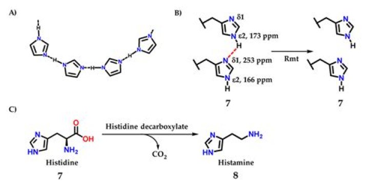 What is the pKa of imidazole?