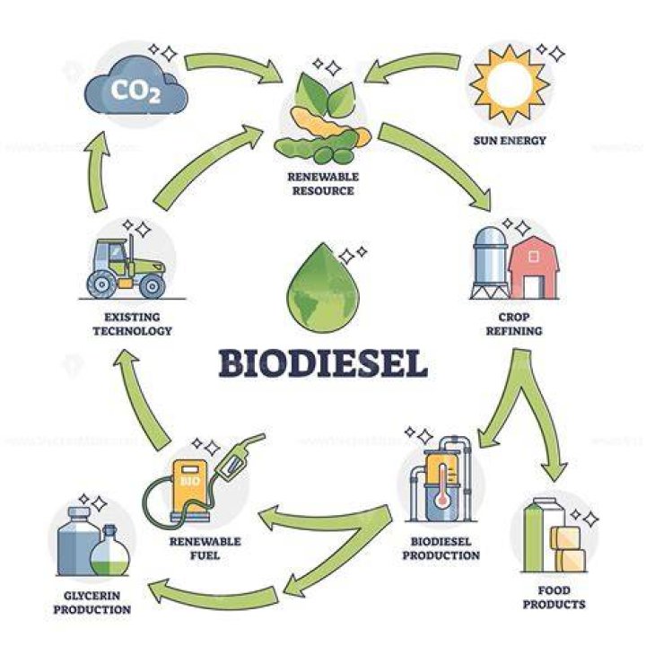 What is the purpose of the biodiesel lab?