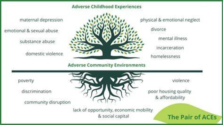 What is the relationship between childhood trauma and ACEs?