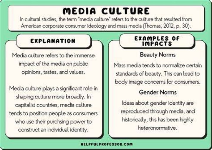 What is the relationship between media culture and society?