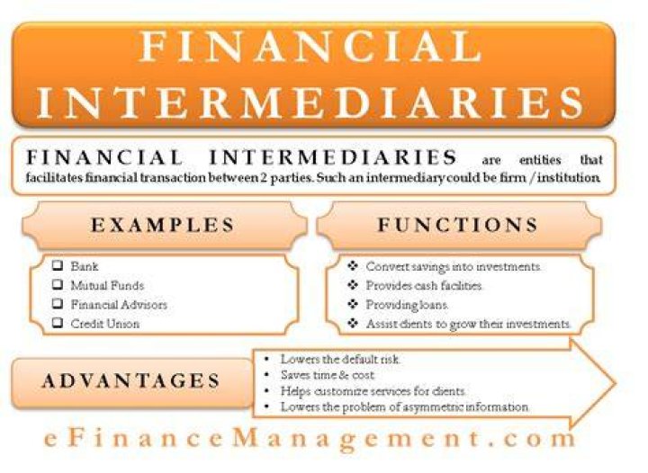 What is the role of the financial intermediaries in the financial system?