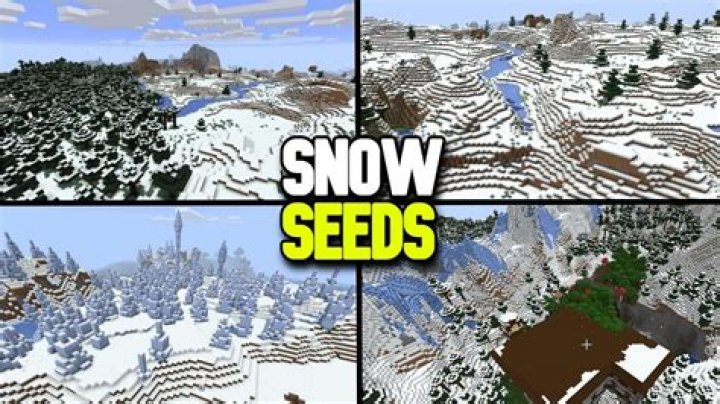 What is the seed for snow biome?