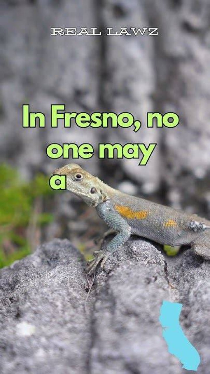 What is the strangest law in California?