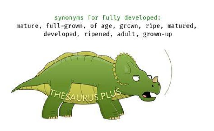 What is the synonym of fully developed?