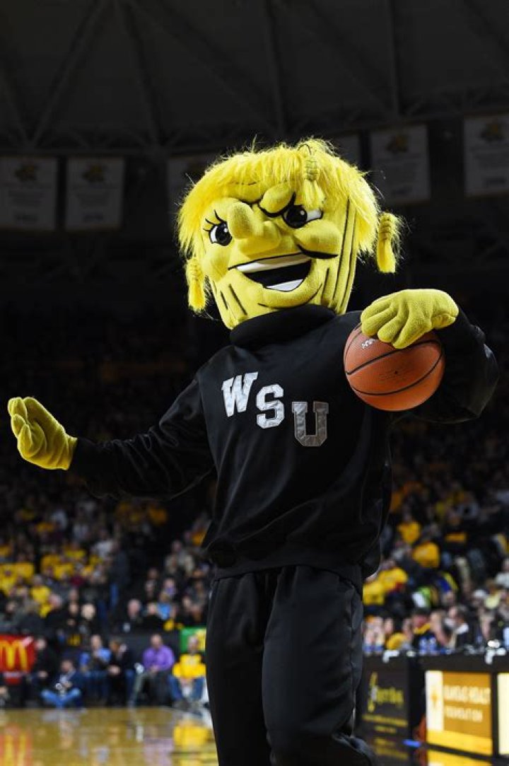 What is Wichita State mascot?