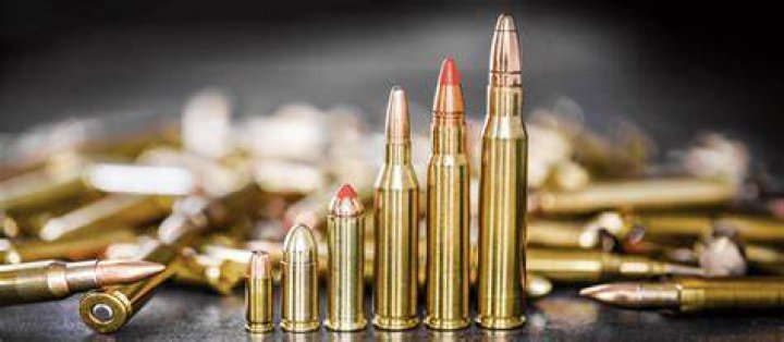 What kind of bullets does a 22 rifle take?
