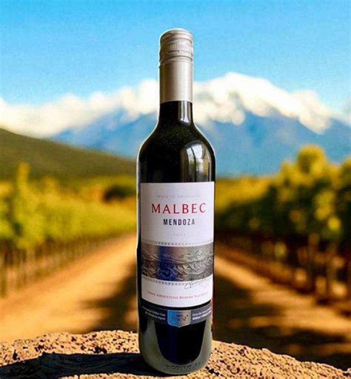 What kind of wine is Mendoza Malbec?