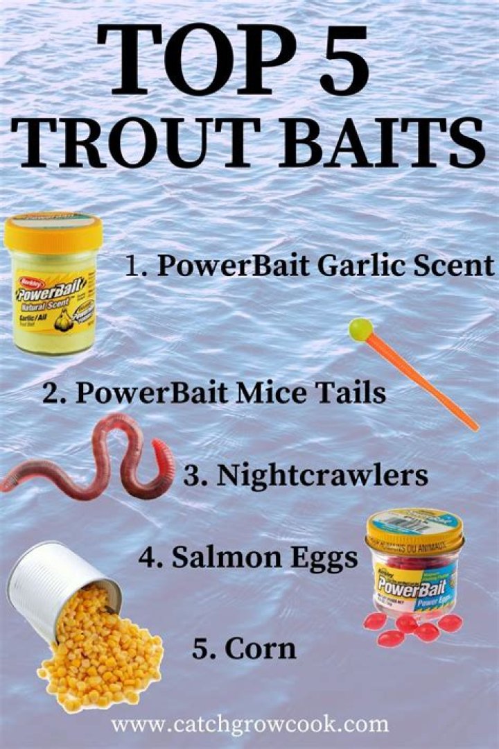 What live bait do trout eat?