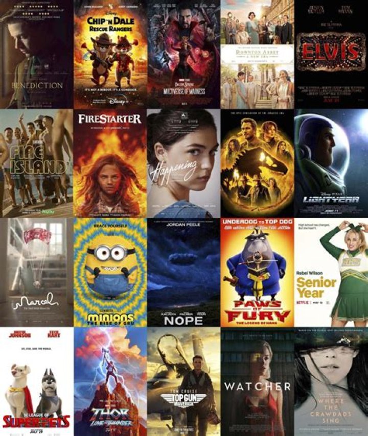 What movies came out in 2013 in theaters?