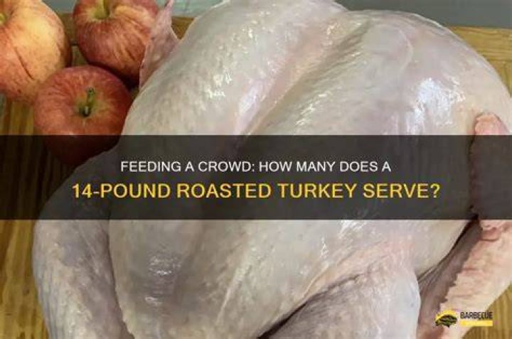 What pound turkey will feed 5 people?