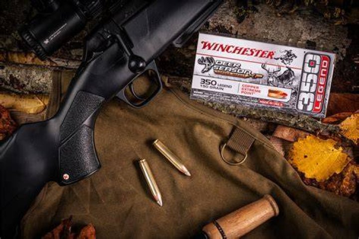 What rifles are chambered in 338 Federal?