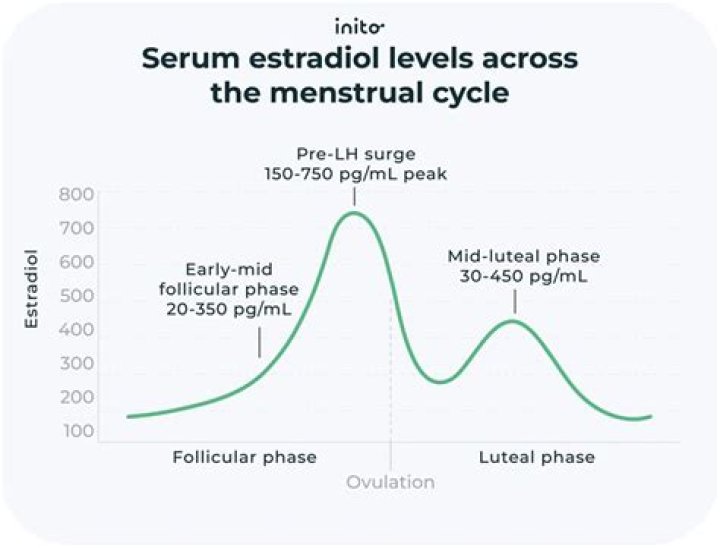 What should estradiol levels be on Day 6?