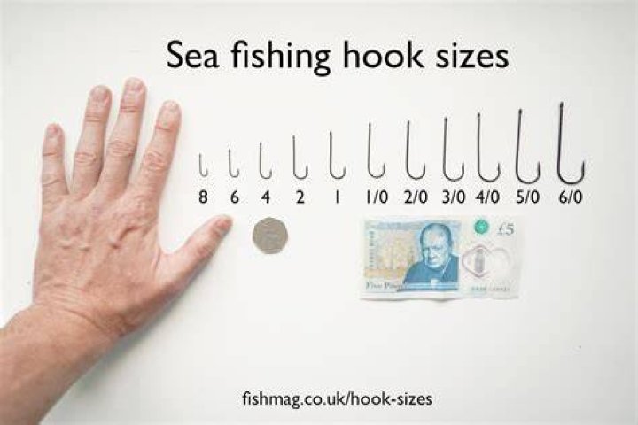 What size hook do you use for grouper?