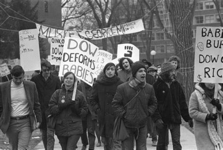 What was the anti establishment movement of the 1960s called?