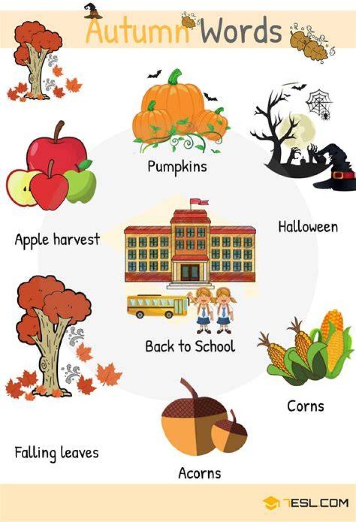 What words are related to autumn?
