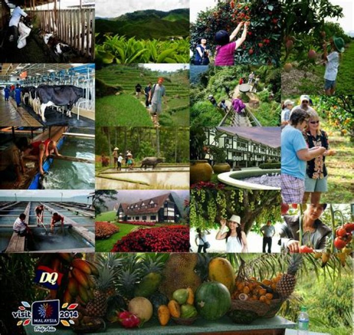 Where are the agro tourism attractions of Malaysia?