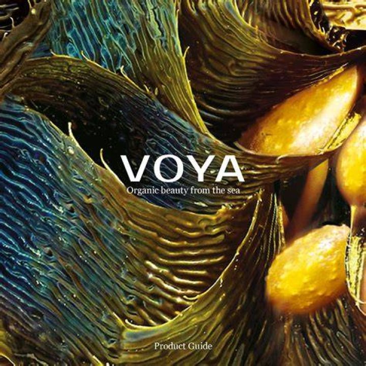 Where are Voya products made?
