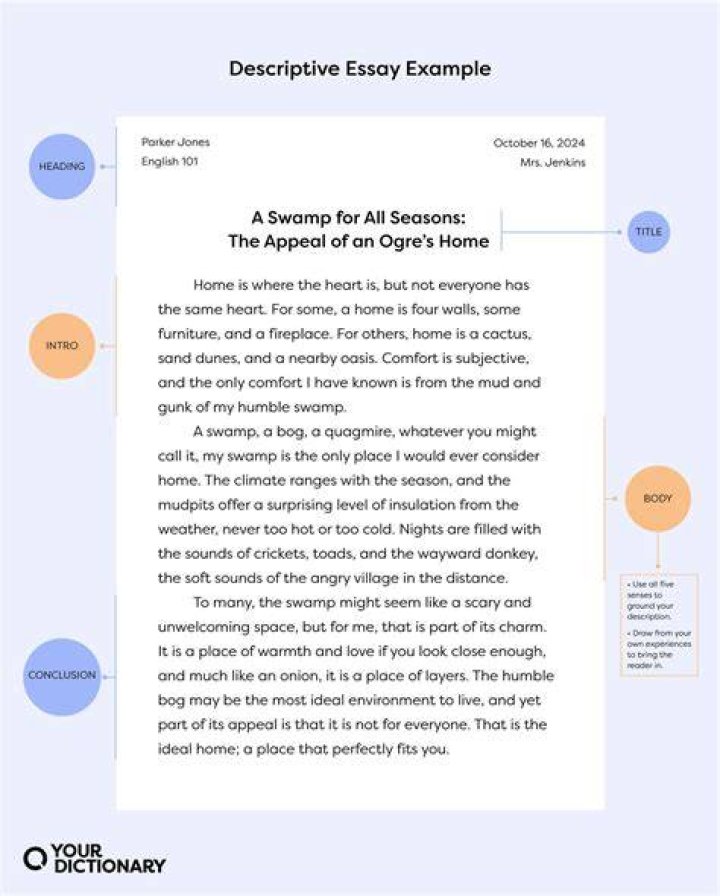Where can I find good essays for free?
