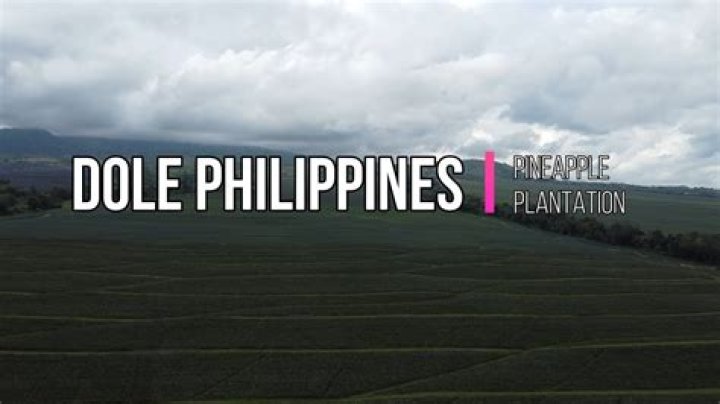 Where is Dole pineapple Philippines located?