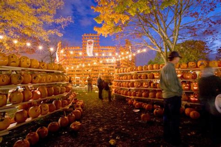 Where is Highwood pumpkin?