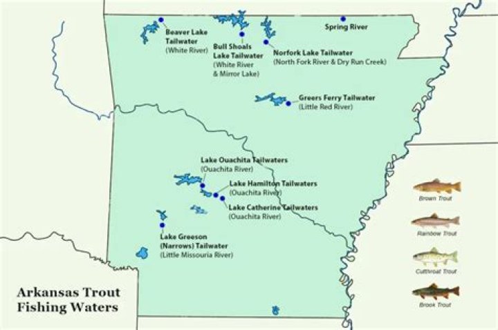 Where is the best fishing on the Arkansas River?