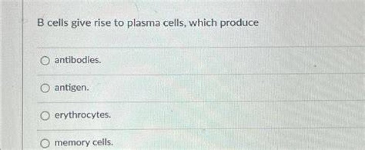 Which cells give rise to other cells?