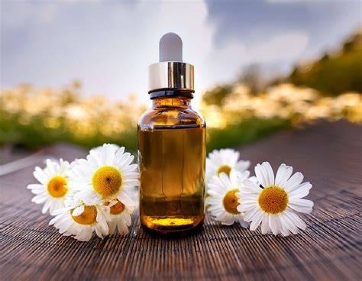 Which chamomile oil is best for sleep?