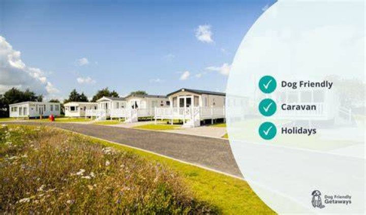 Which holiday parks allow dogs?