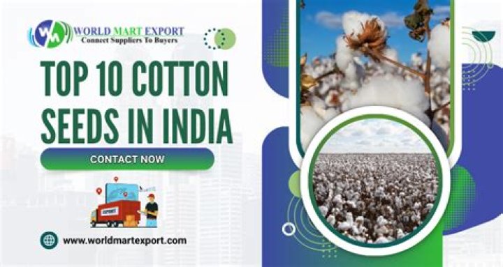 Which is the best cotton seeds in India?