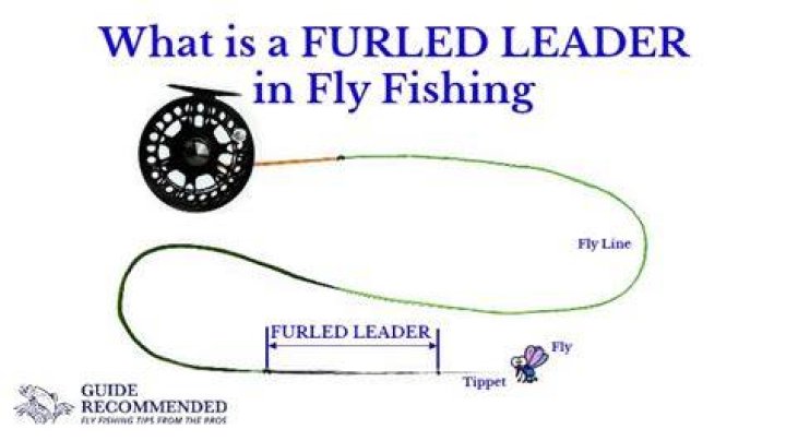 Why are furled leaders?