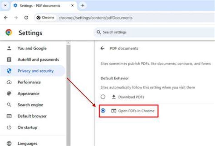 Why are pdfs not opening in Firefox?
