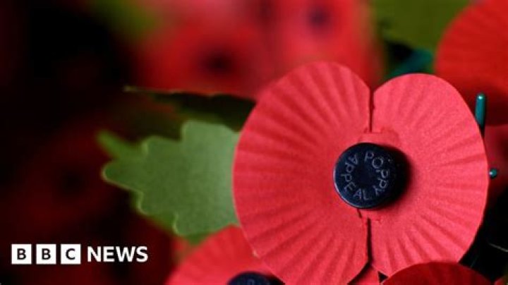 Why do Irish not wear poppies?