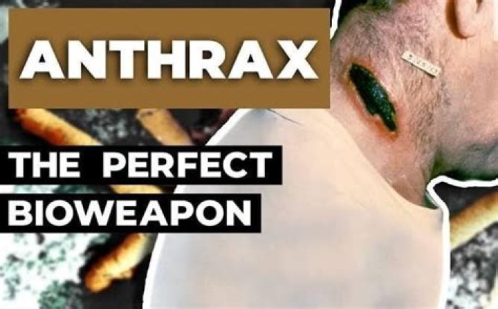 Why is anthrax a perfect weapon?