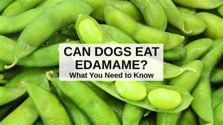 Why should you not eat edamame pods?